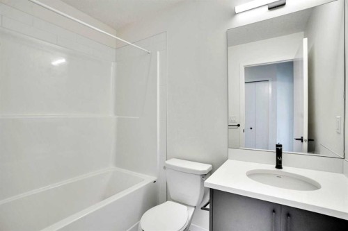229 South Point Park Sw, Airdrie, AB - Indoor Photo Showing Bathroom
