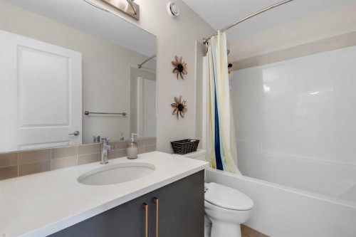 231 Lavender Manor Se, Calgary, AB - Indoor Photo Showing Bathroom
