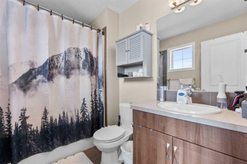 534 River Heights Crescent, Cochrane, AB - Indoor Photo Showing Bathroom