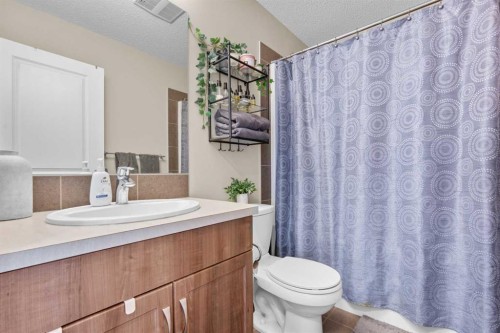 534 River Heights Crescent, Cochrane, AB - Indoor Photo Showing Bathroom