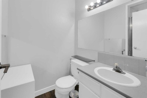549 Rundleville Place Ne, Calgary, AB - Indoor Photo Showing Bathroom
