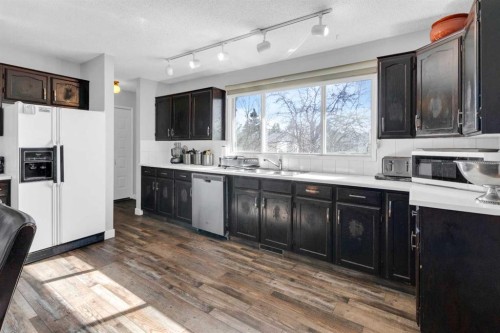 549 Rundleville Place Ne, Calgary, AB - Indoor Photo Showing Kitchen With Double Sink