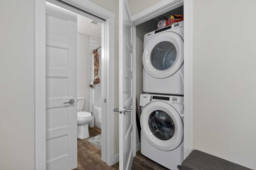 301-55 Wolf Hollow Crescent Se, Calgary, AB - Indoor Photo Showing Laundry Room