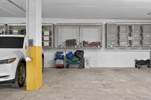 301-55 Wolf Hollow Crescent Se, Calgary, AB - Indoor Photo Showing Garage