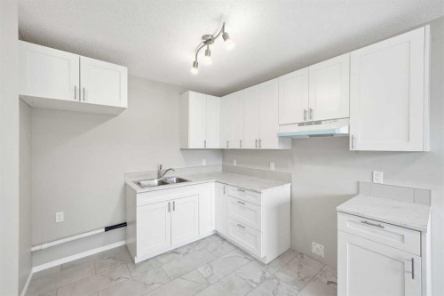 92-203 Lynnview Road Se, Calgary, AB - Indoor Photo Showing Kitchen With Double Sink