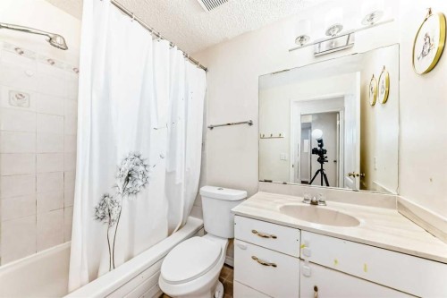 38 San Diego Way Ne, Calgary, AB - Indoor Photo Showing Bathroom