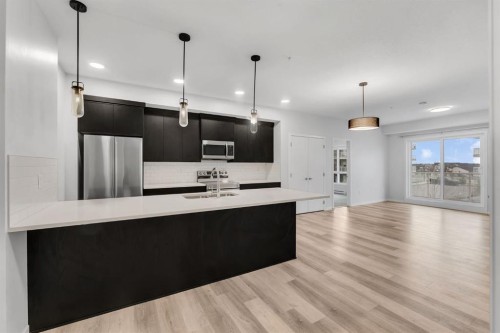 3201-220 Seton Grove Se, Calgary, AB - Indoor Photo Showing Kitchen With Upgraded Kitchen