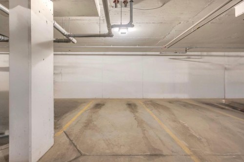 3201-220 Seton Grove Se, Calgary, AB - Indoor Photo Showing Garage
