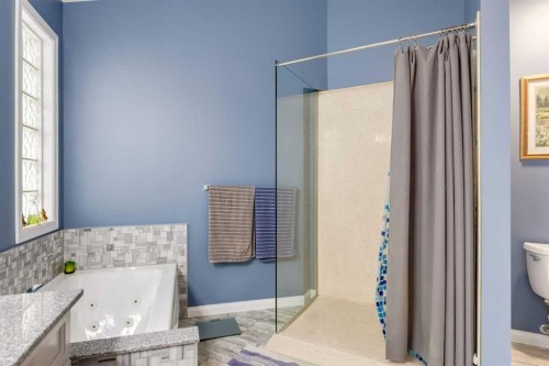 24 Sunmeadows Court Se, Calgary, AB - Indoor Photo Showing Bathroom