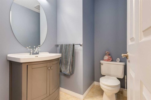 24 Sunmeadows Court Se, Calgary, AB - Indoor Photo Showing Bathroom