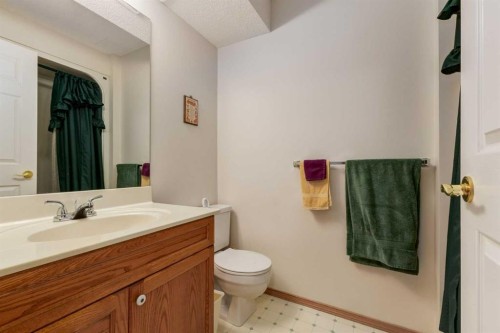 24 Sunmeadows Court Se, Calgary, AB - Indoor Photo Showing Bathroom