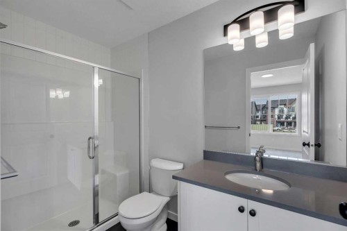 237 Heirloom Way Se, Calgary, AB - Indoor Photo Showing Bathroom