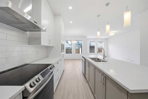 324 Copperhead Way Se, Calgary, AB - Indoor Photo Showing Kitchen With Double Sink With Upgraded Kitchen