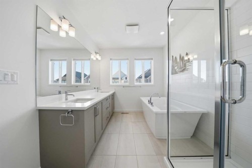 324 Copperhead Way Se, Calgary, AB - Indoor Photo Showing Bathroom