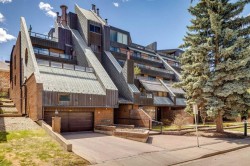 103-1215 Cameron Avenue SW Calgary, AB T2T 0K8