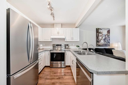 103 Everstone Place Sw, Calgary, AB - Indoor Photo Showing Kitchen With Double Sink