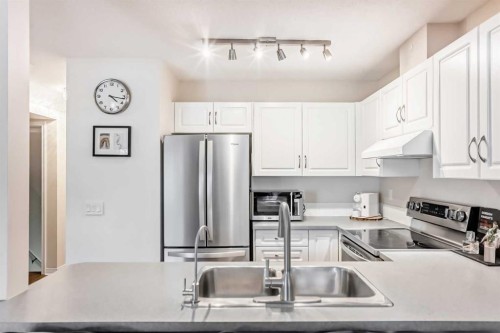 103 Everstone Place Sw, Calgary, AB - Indoor Photo Showing Kitchen With Upgraded Kitchen