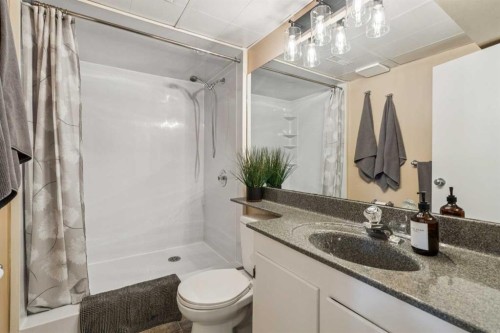 19 Hyslop Drive Sw, Calgary, AB - Indoor Photo Showing Bathroom