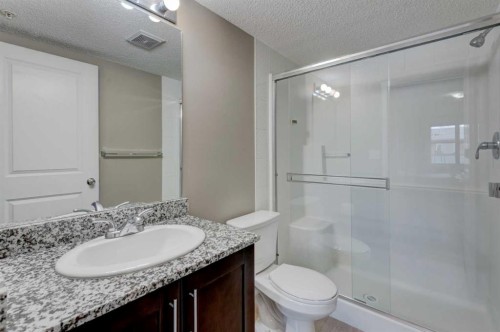 2125-81 Legacy Boulevard Se, Calgary, AB - Indoor Photo Showing Bathroom