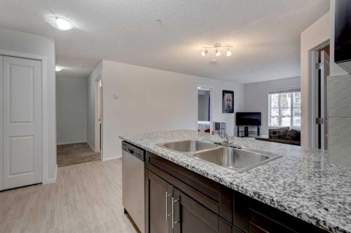 2125-81 Legacy Boulevard Se, Calgary, AB - Indoor Photo Showing Kitchen With Double Sink
