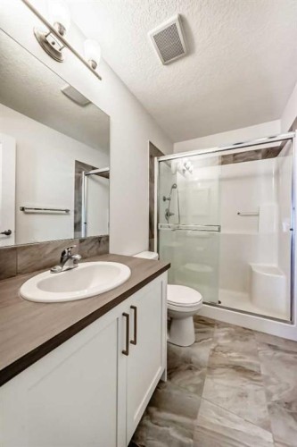139 Legacy Point Se, Calgary, AB - Indoor Photo Showing Bathroom