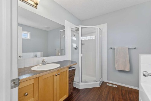 308 Cambridge Place, Strathmore, AB - Indoor Photo Showing Bathroom