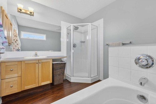 308 Cambridge Place, Strathmore, AB - Indoor Photo Showing Bathroom