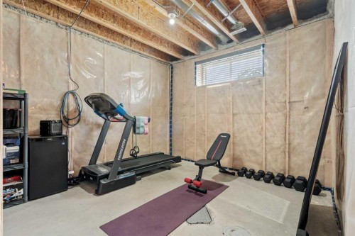 11 Masters Manor Se, Calgary, AB - Indoor Photo Showing Gym Room