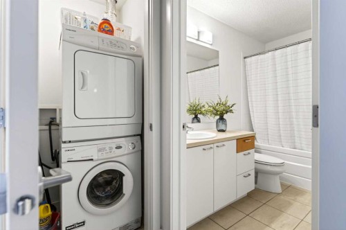 301-315 24 Avenue Sw, Calgary, AB - Indoor Photo Showing Laundry Room