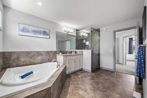 229 Stonemere Bay, Chestermere, AB - Indoor Photo Showing Bathroom