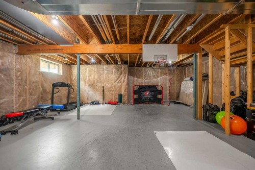 229 Stonemere Bay, Chestermere, AB - Indoor Photo Showing Basement