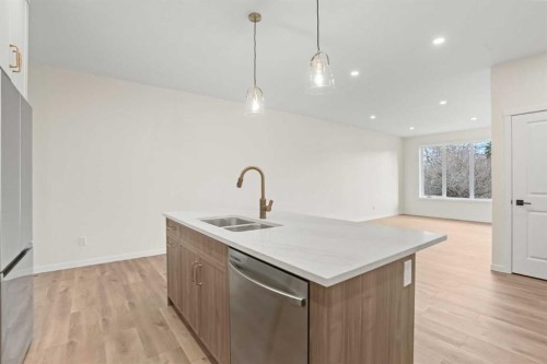 123 5 Avenue Se, High River, AB - Indoor Photo Showing Kitchen With Double Sink