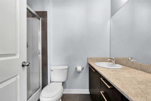 359 Silverado Common Sw, Calgary, AB - Indoor Photo Showing Bathroom