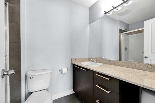 359 Silverado Common Sw, Calgary, AB - Indoor Photo Showing Bathroom