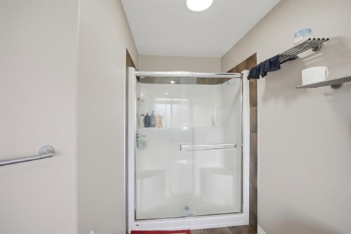591 Taralake Way Ne, Calgary, AB - Indoor Photo Showing Bathroom