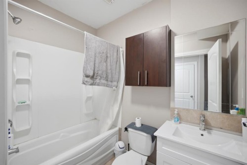 591 Taralake Way Ne, Calgary, AB - Indoor Photo Showing Bathroom