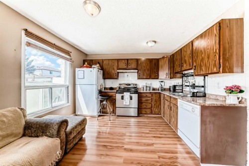 4821 60 Street Ne, Calgary, AB - Indoor Photo Showing Kitchen With Double Sink