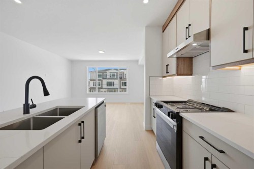 8814 48 Street Ne, Calgary, AB - Indoor Photo Showing Kitchen With Double Sink With Upgraded Kitchen