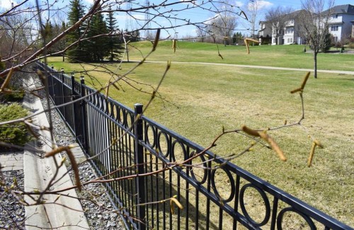 123 Parkmere Court, Chestermere, AB - Outdoor