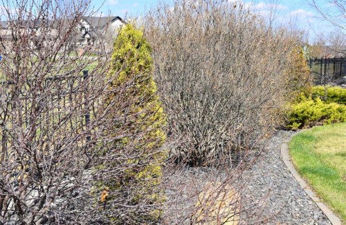 123 Parkmere Court, Chestermere, AB - Outdoor With View