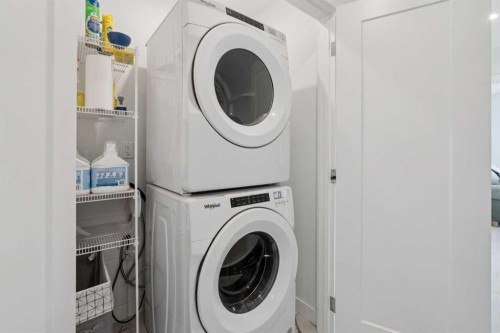 226 Dawson Way, Chestermere, AB - Indoor Photo Showing Laundry Room
