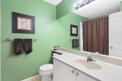 122 Bridlewood Lane Sw, Calgary, AB - Indoor Photo Showing Bathroom