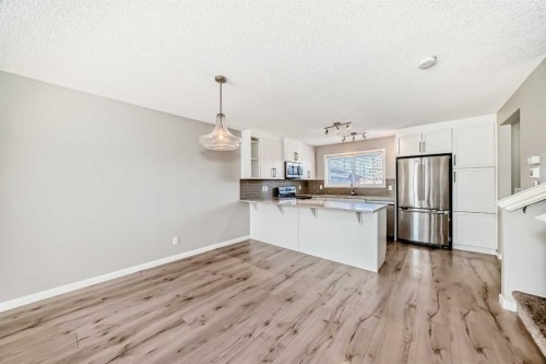 393 Legacy Boulevard Se, Calgary, AB - Indoor Photo Showing Kitchen With Stainless Steel Kitchen