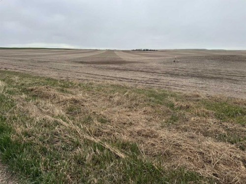 466 Ave E. & 336 St. E., Rural Vulcan County, AB 