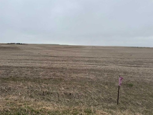 466 Ave E. & 336 St. E., Rural Vulcan County, AB 