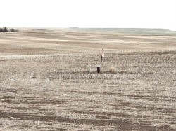 Township Road 194 Rural Vulcan County, AB T0L 0J0