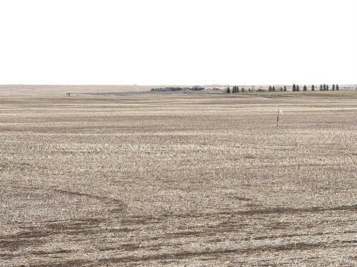 466 Ave E. & 336 St. E., Rural Vulcan County, AB 