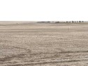 466 Ave E. & 336 St. E., Rural Vulcan County, AB 