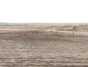 466 Ave E. & 336 St. E., Rural Vulcan County, AB 