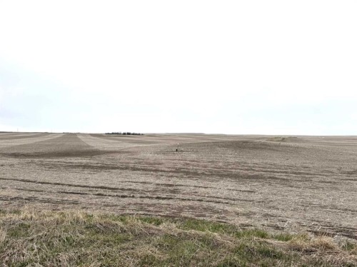 466 Ave E. & 336 St. E., Rural Vulcan County, AB 
